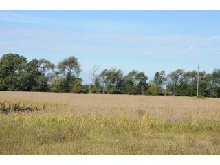 Property photo 24 - REAL ESTATE AUCTION - 495+/- ACRES OFFERED IN 19 TRACTS IN BRANCH COUNTY, MICHIGAN