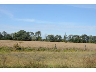 Property photo 27 - REAL ESTATE AUCTION - 495+/- ACRES OFFERED IN 19 TRACTS IN BRANCH COUNTY, MICHIGAN