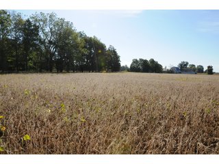 Property photo 28 - REAL ESTATE AUCTION - 495+/- ACRES OFFERED IN 19 TRACTS IN BRANCH COUNTY, MICHIGAN