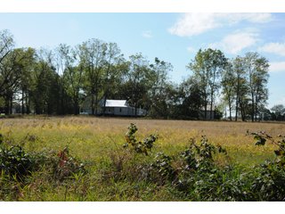 Property photo 49 - REAL ESTATE AUCTION - 495+/- ACRES OFFERED IN 19 TRACTS IN BRANCH COUNTY, MICHIGAN