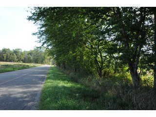 Property photo 17 - REAL ESTATE AUCTION - 495+/- ACRES OFFERED IN 19 TRACTS IN BRANCH COUNTY, MICHIGAN