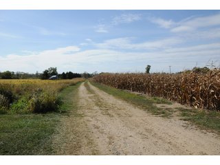 Property photo 11 - REAL ESTATE AUCTION - 495+/- ACRES OFFERED IN 19 TRACTS IN BRANCH COUNTY, MICHIGAN