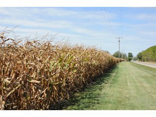 Property photo 44 - REAL ESTATE AUCTION - 495+/- ACRES OFFERED IN 19 TRACTS IN BRANCH COUNTY, MICHIGAN
