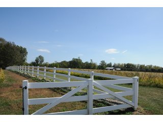 Property photo 42 - REAL ESTATE AUCTION - 495+/- ACRES OFFERED IN 19 TRACTS IN BRANCH COUNTY, MICHIGAN