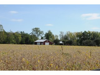 Property photo 59 - REAL ESTATE AUCTION - 495+/- ACRES OFFERED IN 19 TRACTS IN BRANCH COUNTY, MICHIGAN