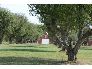 Property photo 53 - REAL ESTATE AUCTION - 495+/- ACRES OFFERED IN 19 TRACTS IN BRANCH COUNTY, MICHIGAN