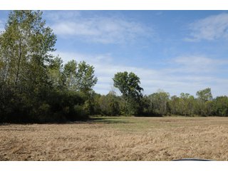 Property photo 52 - REAL ESTATE AUCTION - 495+/- ACRES OFFERED IN 19 TRACTS IN BRANCH COUNTY, MICHIGAN