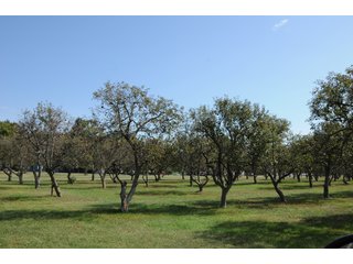 Property photo 58 - REAL ESTATE AUCTION - 495+/- ACRES OFFERED IN 19 TRACTS IN BRANCH COUNTY, MICHIGAN