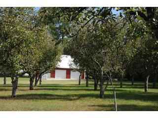 Tract 3 - REAL ESTATE AUCTION - 495+/- ACRES OFFERED IN 19 TRACTS IN BRANCH COUNTY, MICHIGAN