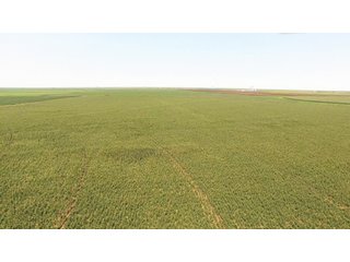 Property photo 16 - IRRIGATED FARMLAND AUCTION - 640+/- ACRES OFFERED IN 1 TRACT IN HARTLEY CO., TEXAS
