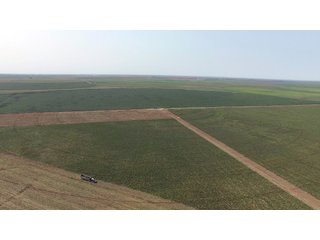 Property photo 11 - IRRIGATED FARMLAND AUCTION - 640+/- ACRES OFFERED IN 1 TRACT IN HARTLEY CO., TEXAS