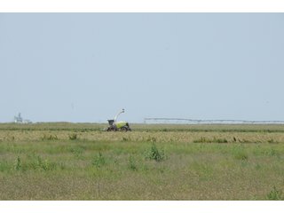 Property photo 24 - IRRIGATED FARMLAND AUCTION - 640+/- ACRES OFFERED IN 1 TRACT IN HARTLEY CO., TEXAS