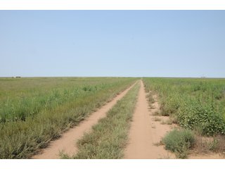 Property photo 25 - IRRIGATED FARMLAND AUCTION - 640+/- ACRES OFFERED IN 1 TRACT IN HARTLEY CO., TEXAS