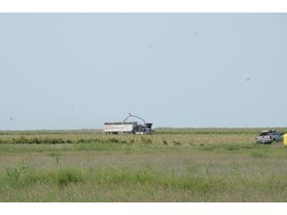 Property photo 23 - IRRIGATED FARMLAND AUCTION - 640+/- ACRES OFFERED IN 1 TRACT IN HARTLEY CO., TEXAS