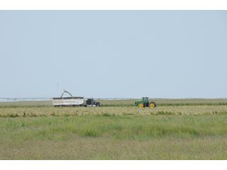 Property photo 21 - IRRIGATED FARMLAND AUCTION - 640+/- ACRES OFFERED IN 1 TRACT IN HARTLEY CO., TEXAS