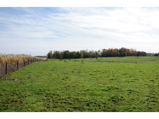 TRACT 6 - MAJOR LAND AUCTION - 315+/- ACRES IN 16 TRACTS - 6 PROPERTIES IN WHITLEY & ALLEN COUNTIES, INDIANA