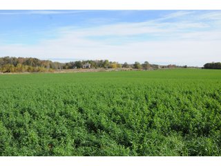 Property photo 139 - MAJOR LAND AUCTION - 315+/- ACRES IN 16 TRACTS - 6 PROPERTIES IN WHITLEY & ALLEN COUNTIES, INDIANA