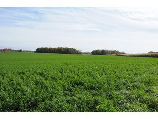 Property photo 121 - MAJOR LAND AUCTION - 315+/- ACRES IN 16 TRACTS - 6 PROPERTIES IN WHITLEY & ALLEN COUNTIES, INDIANA