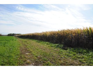 Property photo 110 - MAJOR LAND AUCTION - 315+/- ACRES IN 16 TRACTS - 6 PROPERTIES IN WHITLEY & ALLEN COUNTIES, INDIANA