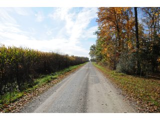 Property photo 141 - MAJOR LAND AUCTION - 315+/- ACRES IN 16 TRACTS - 6 PROPERTIES IN WHITLEY & ALLEN COUNTIES, INDIANA