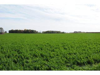 Property photo 102 - MAJOR LAND AUCTION - 315+/- ACRES IN 16 TRACTS - 6 PROPERTIES IN WHITLEY & ALLEN COUNTIES, INDIANA