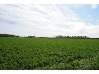 Property photo 109 - MAJOR LAND AUCTION - 315+/- ACRES IN 16 TRACTS - 6 PROPERTIES IN WHITLEY & ALLEN COUNTIES, INDIANA