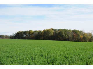 Property photo 106 - MAJOR LAND AUCTION - 315+/- ACRES IN 16 TRACTS - 6 PROPERTIES IN WHITLEY & ALLEN COUNTIES, INDIANA