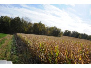 Property photo 95 - MAJOR LAND AUCTION - 315+/- ACRES IN 16 TRACTS - 6 PROPERTIES IN WHITLEY & ALLEN COUNTIES, INDIANA