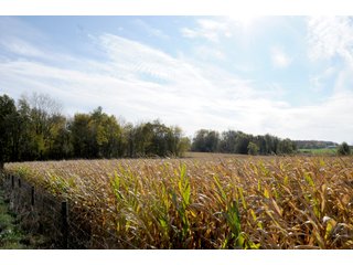 TRACT 7 - MAJOR LAND AUCTION - 315+/- ACRES IN 16 TRACTS - 6 PROPERTIES IN WHITLEY & ALLEN COUNTIES, INDIANA