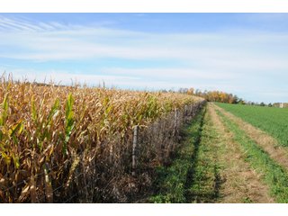 Property photo 76 - MAJOR LAND AUCTION - 315+/- ACRES IN 16 TRACTS - 6 PROPERTIES IN WHITLEY & ALLEN COUNTIES, INDIANA