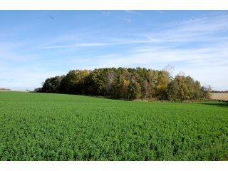 TRACT 8 - MAJOR LAND AUCTION - 315+/- ACRES IN 16 TRACTS - 6 PROPERTIES IN WHITLEY & ALLEN COUNTIES, INDIANA