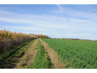 Property photo 120 - MAJOR LAND AUCTION - 315+/- ACRES IN 16 TRACTS - 6 PROPERTIES IN WHITLEY & ALLEN COUNTIES, INDIANA