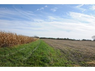 Property photo 113 - MAJOR LAND AUCTION - 315+/- ACRES IN 16 TRACTS - 6 PROPERTIES IN WHITLEY & ALLEN COUNTIES, INDIANA