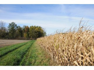 Property photo 125 - MAJOR LAND AUCTION - 315+/- ACRES IN 16 TRACTS - 6 PROPERTIES IN WHITLEY & ALLEN COUNTIES, INDIANA