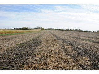 Property photo 93 - MAJOR LAND AUCTION - 315+/- ACRES IN 16 TRACTS - 6 PROPERTIES IN WHITLEY & ALLEN COUNTIES, INDIANA