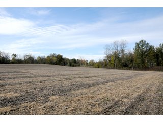 Property photo 131 - MAJOR LAND AUCTION - 315+/- ACRES IN 16 TRACTS - 6 PROPERTIES IN WHITLEY & ALLEN COUNTIES, INDIANA