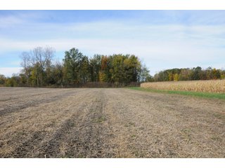 Property photo 103 - MAJOR LAND AUCTION - 315+/- ACRES IN 16 TRACTS - 6 PROPERTIES IN WHITLEY & ALLEN COUNTIES, INDIANA