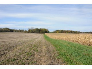 Property photo 100 - MAJOR LAND AUCTION - 315+/- ACRES IN 16 TRACTS - 6 PROPERTIES IN WHITLEY & ALLEN COUNTIES, INDIANA
