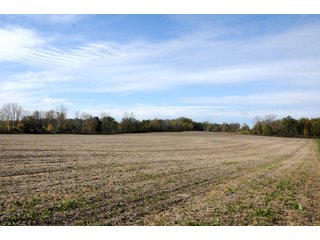 TRACT 9 - MAJOR LAND AUCTION - 315+/- ACRES IN 16 TRACTS - 6 PROPERTIES IN WHITLEY & ALLEN COUNTIES, INDIANA
