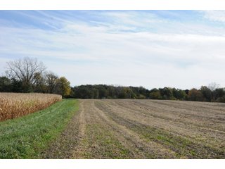 Property photo 117 - MAJOR LAND AUCTION - 315+/- ACRES IN 16 TRACTS - 6 PROPERTIES IN WHITLEY & ALLEN COUNTIES, INDIANA