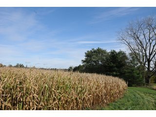 Property photo 124 - MAJOR LAND AUCTION - 315+/- ACRES IN 16 TRACTS - 6 PROPERTIES IN WHITLEY & ALLEN COUNTIES, INDIANA