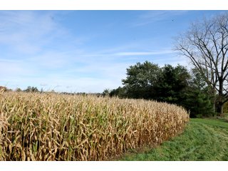 Property photo 92 - MAJOR LAND AUCTION - 315+/- ACRES IN 16 TRACTS - 6 PROPERTIES IN WHITLEY & ALLEN COUNTIES, INDIANA