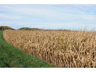 Property photo 127 - MAJOR LAND AUCTION - 315+/- ACRES IN 16 TRACTS - 6 PROPERTIES IN WHITLEY & ALLEN COUNTIES, INDIANA