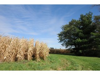 Property photo 144 - MAJOR LAND AUCTION - 315+/- ACRES IN 16 TRACTS - 6 PROPERTIES IN WHITLEY & ALLEN COUNTIES, INDIANA