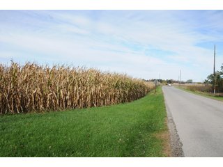 Property photo 108 - MAJOR LAND AUCTION - 315+/- ACRES IN 16 TRACTS - 6 PROPERTIES IN WHITLEY & ALLEN COUNTIES, INDIANA