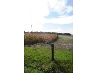 Property photo 138 - MAJOR LAND AUCTION - 315+/- ACRES IN 16 TRACTS - 6 PROPERTIES IN WHITLEY & ALLEN COUNTIES, INDIANA