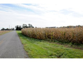 TRACT 16 - MAJOR LAND AUCTION - 315+/- ACRES IN 16 TRACTS - 6 PROPERTIES IN WHITLEY & ALLEN COUNTIES, INDIANA