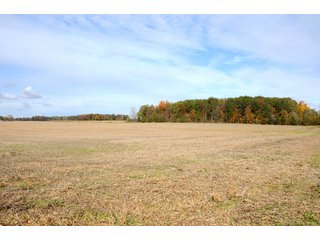 TRACT 15 - MAJOR LAND AUCTION - 315+/- ACRES IN 16 TRACTS - 6 PROPERTIES IN WHITLEY & ALLEN COUNTIES, INDIANA