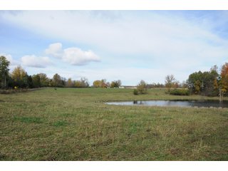 Property photo 62 - MAJOR LAND AUCTION - 315+/- ACRES IN 16 TRACTS - 6 PROPERTIES IN WHITLEY & ALLEN COUNTIES, INDIANA
