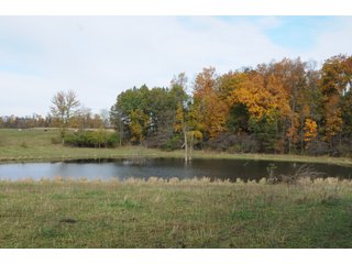 Property photo 61 - MAJOR LAND AUCTION - 315+/- ACRES IN 16 TRACTS - 6 PROPERTIES IN WHITLEY & ALLEN COUNTIES, INDIANA